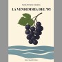 schermata-2025-06-17-alle-10-46-33